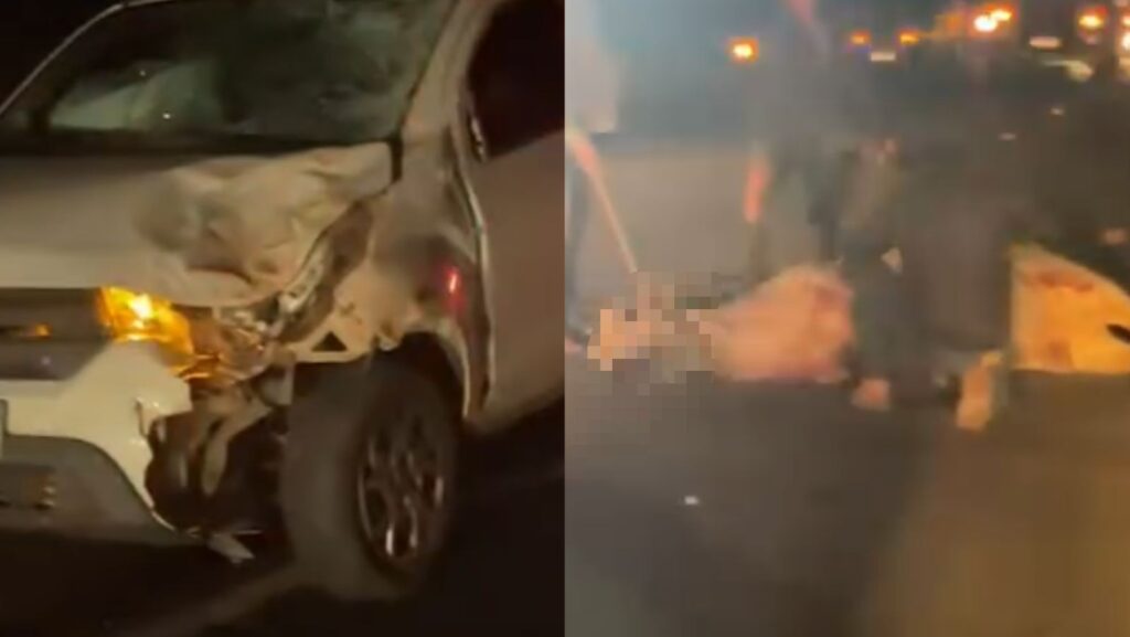 Carro colide com boi na SC-410