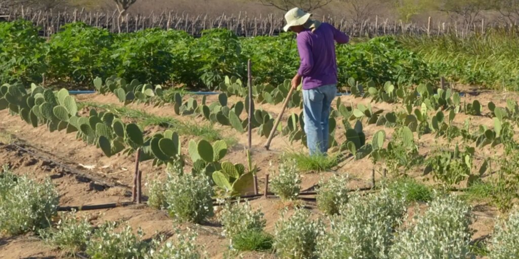 Programa de Capacitação em Meio Ambiente é oportunidade de estudo em licenciamento e gestão ambiental