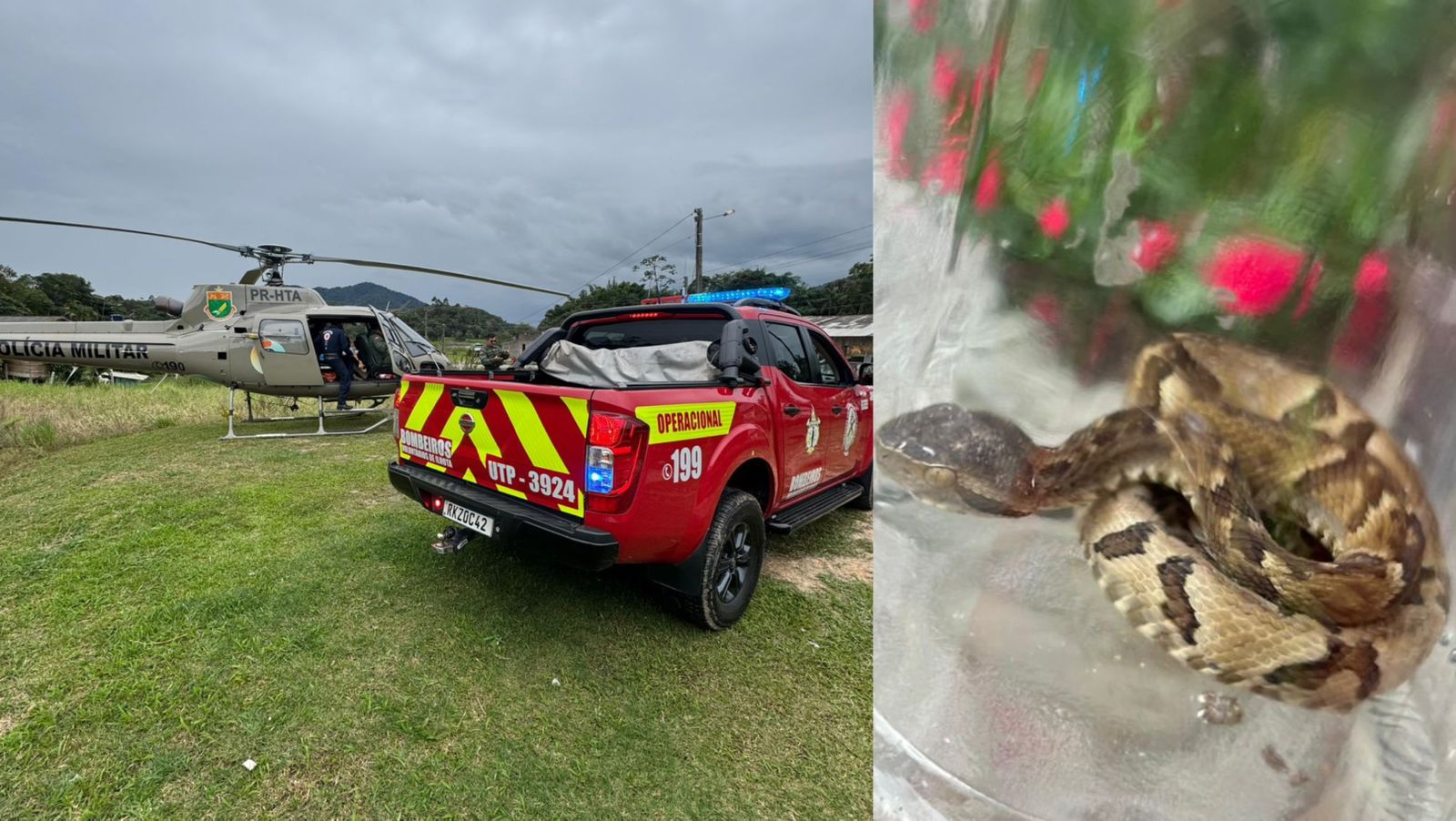 Homem é picado por jararaca e mobiliza helicóptero Águia em Ilhota