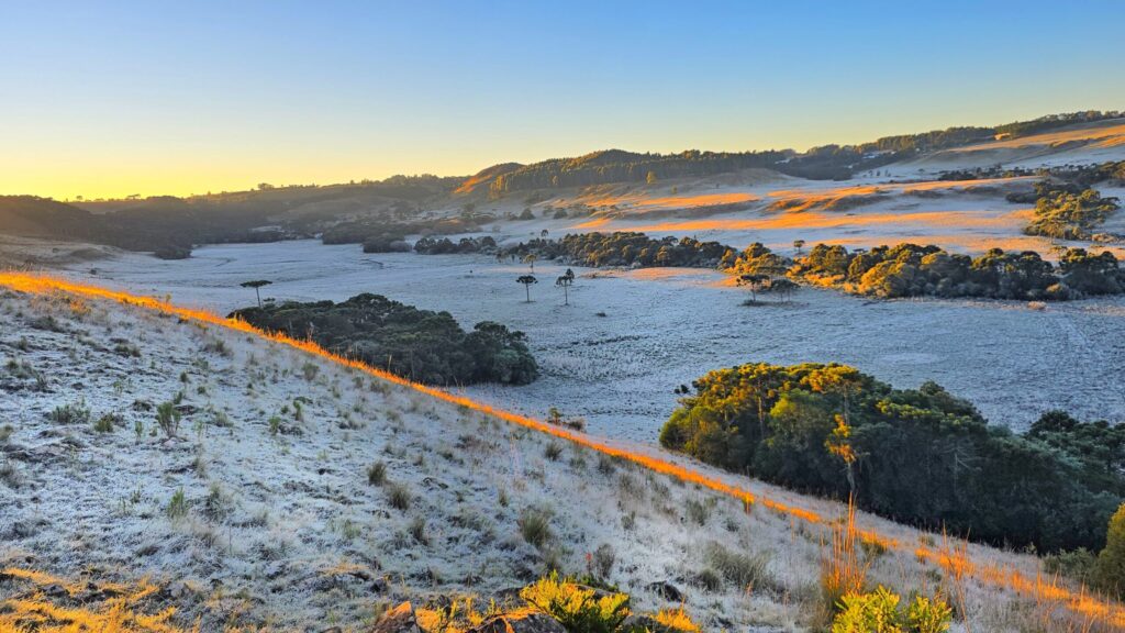 Santa Catarina registra temperatura mais baixa do ano com -6,5°C em São Joaquim