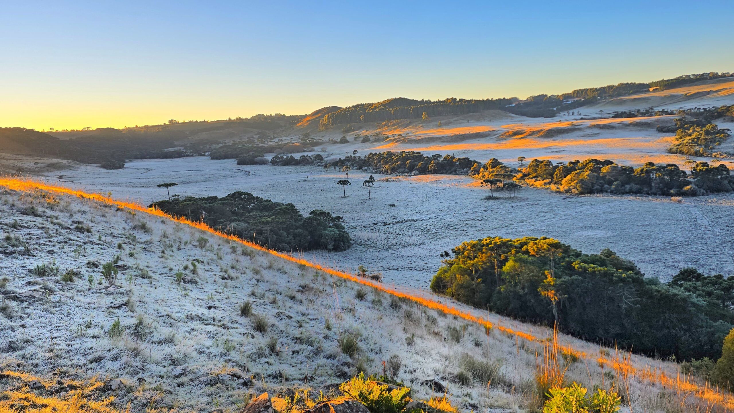Santa Catarina registra temperatura mais baixa do ano com -6,5°C em São Joaquim