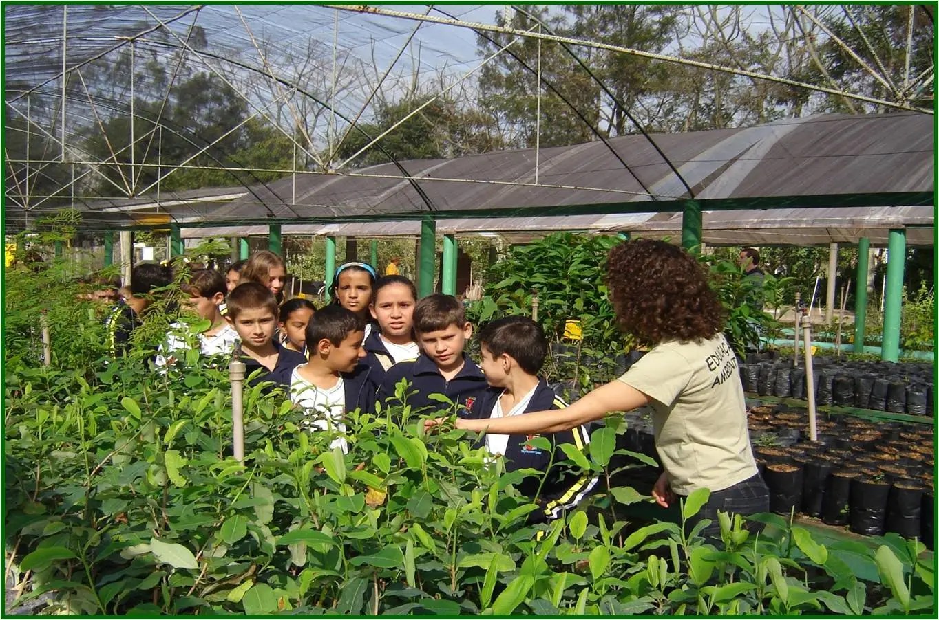 São José conquista prêmio nacional de Educação Ambiental com o projeto “Escola do Meio Ambiente”