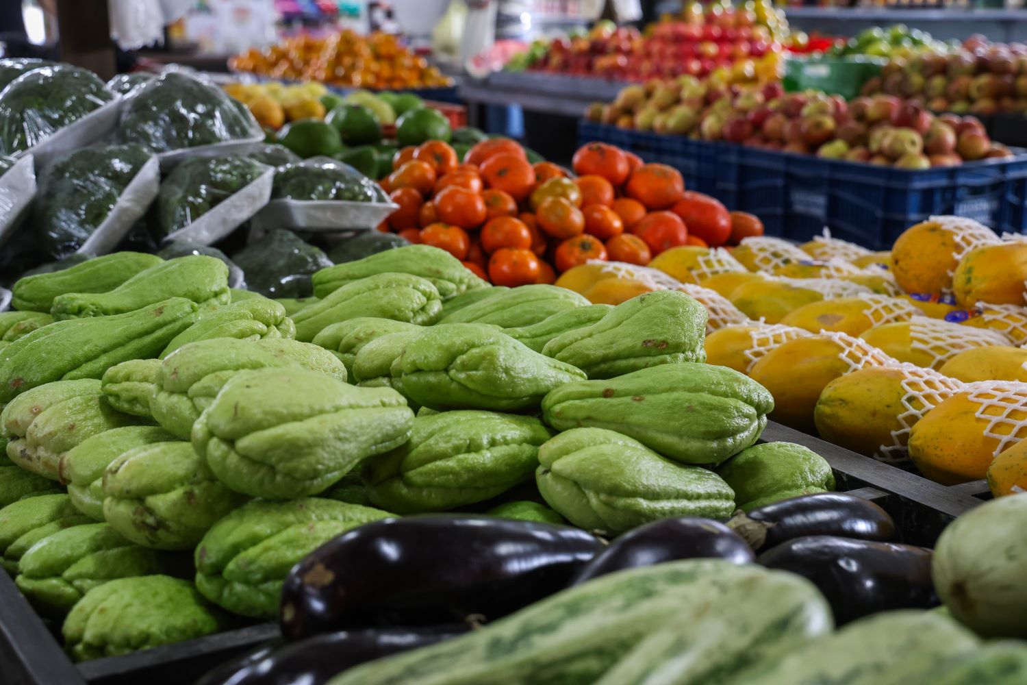 Santa Catarina tem a maior proporção de domicílios com Segurança Alimentar do país