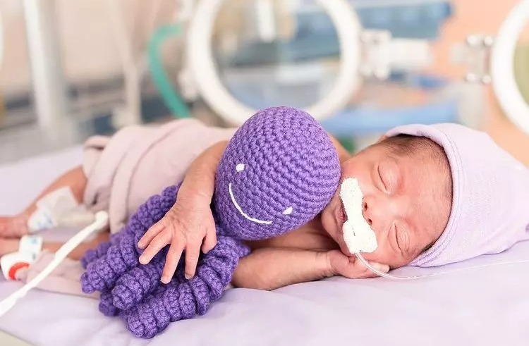 São José sedia a VII Caminhada da Prematuridade e reforça o Novembro Roxo com mobilização por cuidados maternos e neonatais