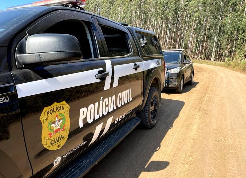 Polícias Civil e Militar apreendem armas e resgatam ave silvestre em operação no interior de SC