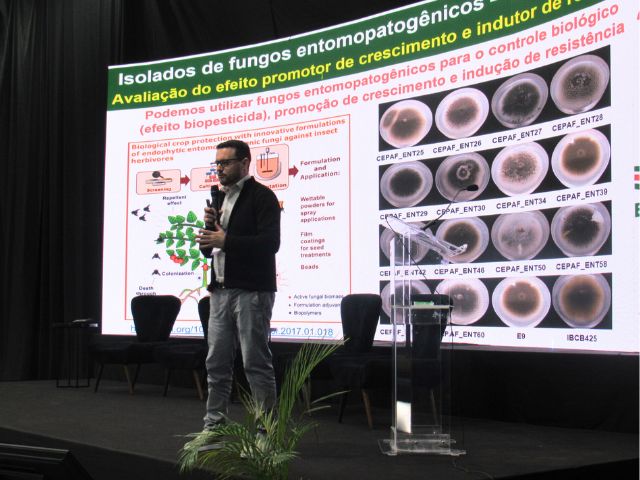 Pesquisas sobre manejo integrado de pragas, desenvolvidas na Epagri de Chapecó, foram destaque em 2025
