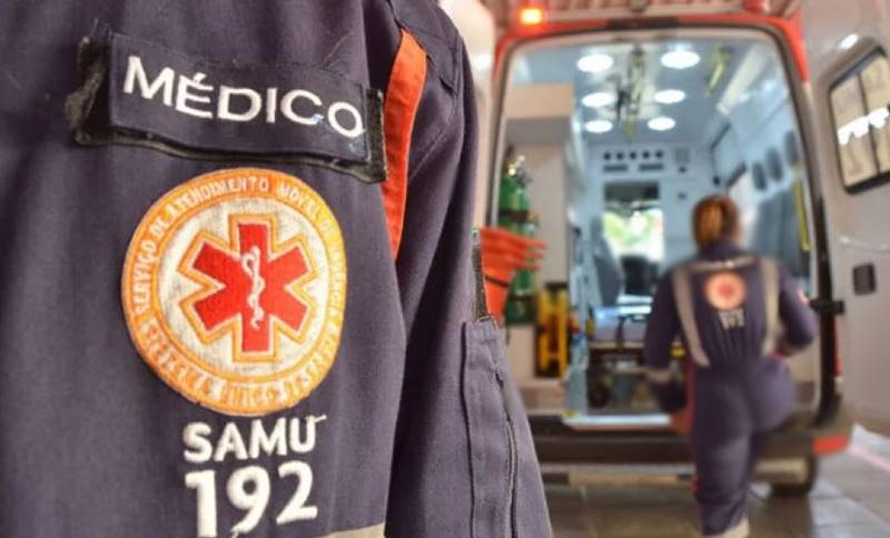 Idoso morre após ataque com mais de 100 picadas de abelhas no Alto Vale do Itajaí