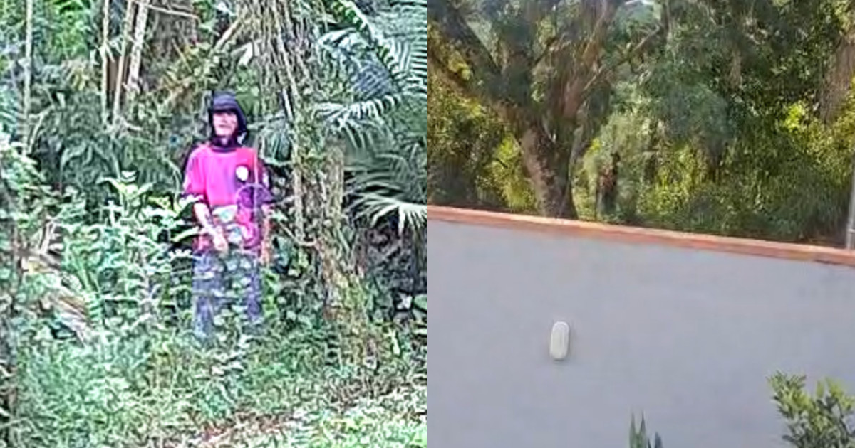 Morador de Canelinha é investigado por importunação sexual contra vizinha