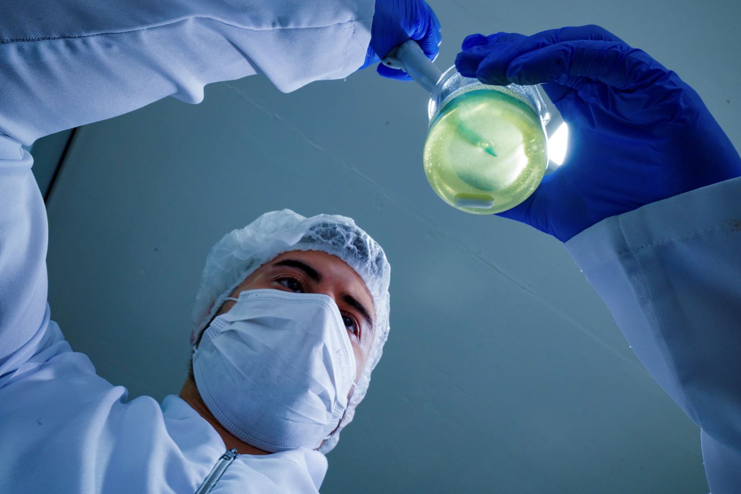 Santa Catarina tem a segunda menor taxa de desocupação do país entre pessoas com ensino superior