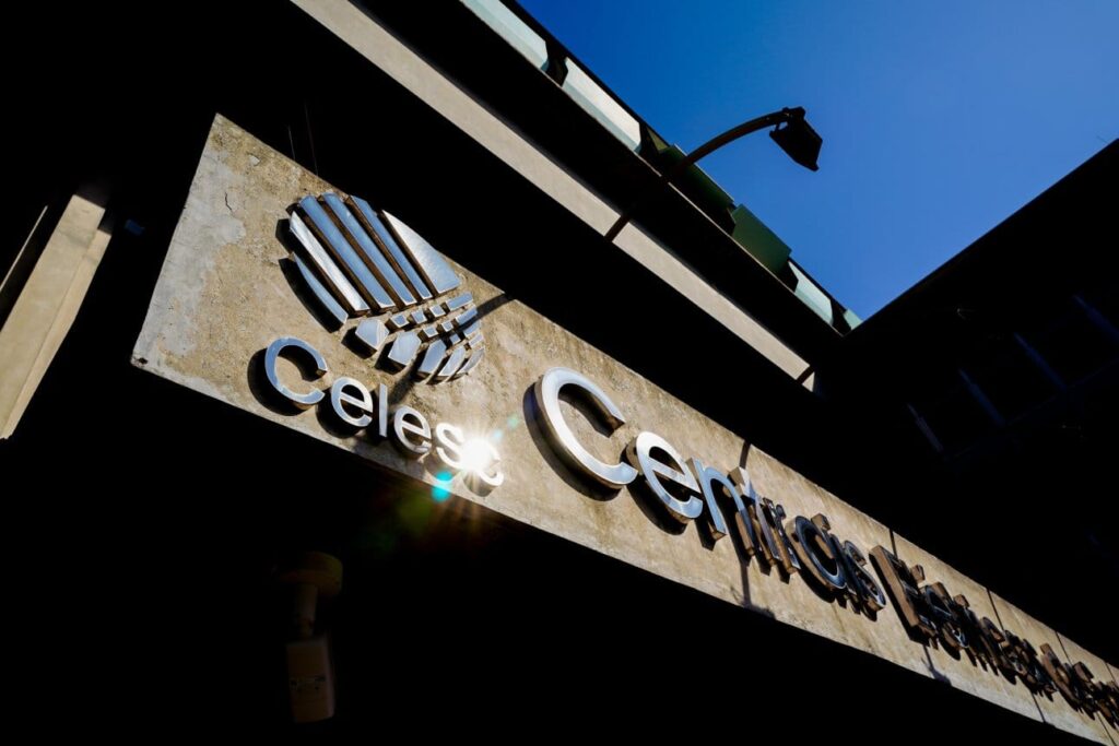 Celesc reforça dicas de segurança com a rede elétrica durante o Carnaval