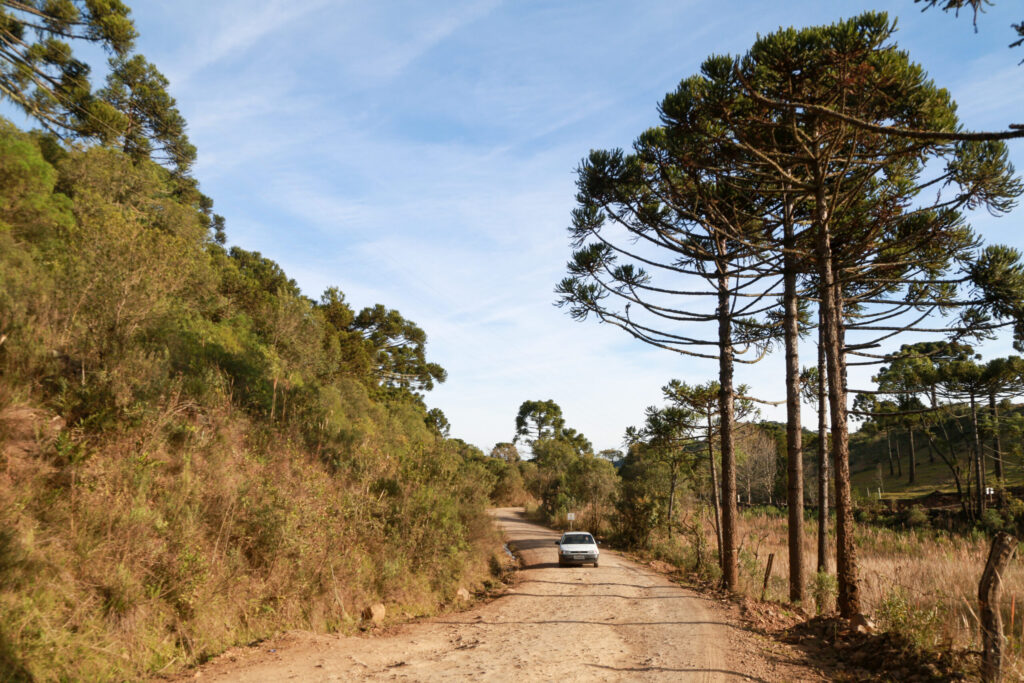 Santa Catarina terá manhãs frias e tardes de calor neste fim de semana