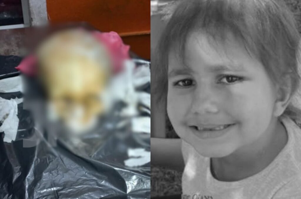 Crânio furtado de túmulo leva mãe a enterrar filha novamente em Santa Catarina