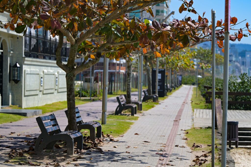 Outono deve registrar temperaturas acima da média e grande variação térmica em Santa Catarina