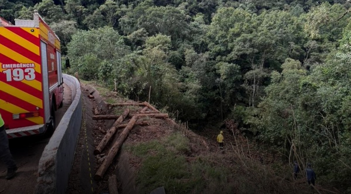 Carreta despenca em ribanceira de 50 metros na BR-116 e motorista escapa sem ferimentos graves