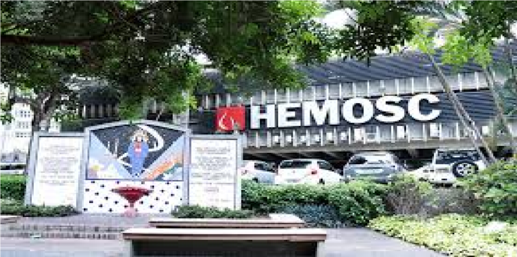 Encontro da Hemofilia promove conscientização e orientação a pacientes e familiares