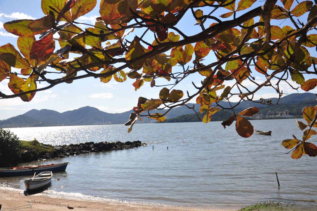 Vai dar praia ou sofá? Confira como fica o tempo no fim de semana em Santa Catarina
