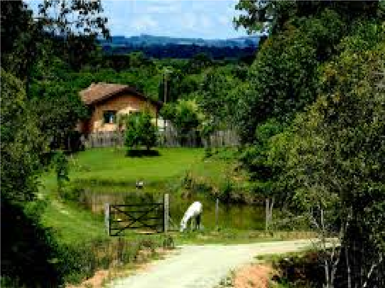 Estado entrega máquinas agrícolas e anuncia novas ações para o setor rural