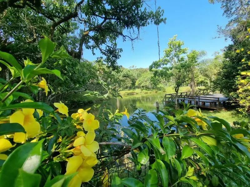 São José abre Mês do Meio Ambiente com programação que une educação, cultura e sustentabilidade