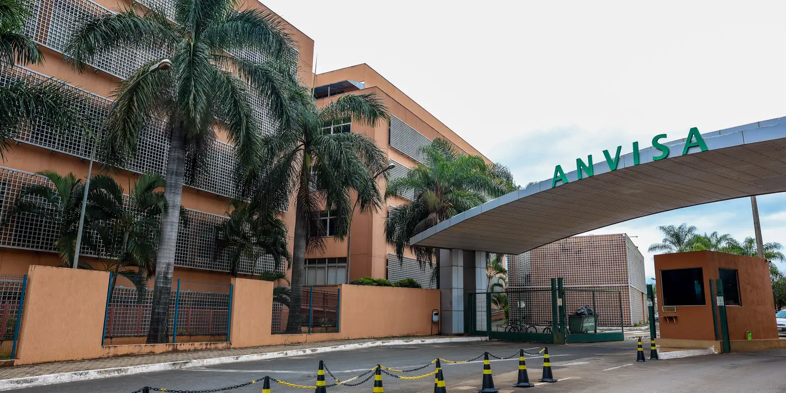 Anvisa aprova novo medicamento para linfoma não Hodgkin