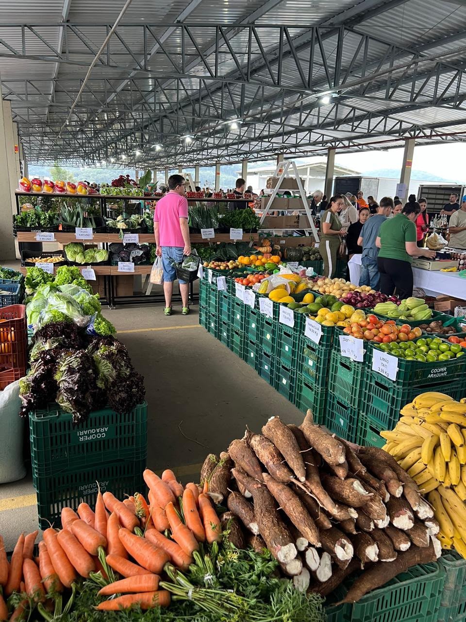 Feira Direto do Campo Pela Primeira Vez no Centro de Joinville