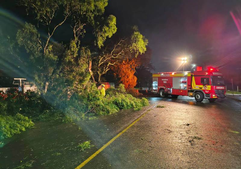 Forte temporal causa destelhamentos, queda de árvores e falta de energia em Papanduva