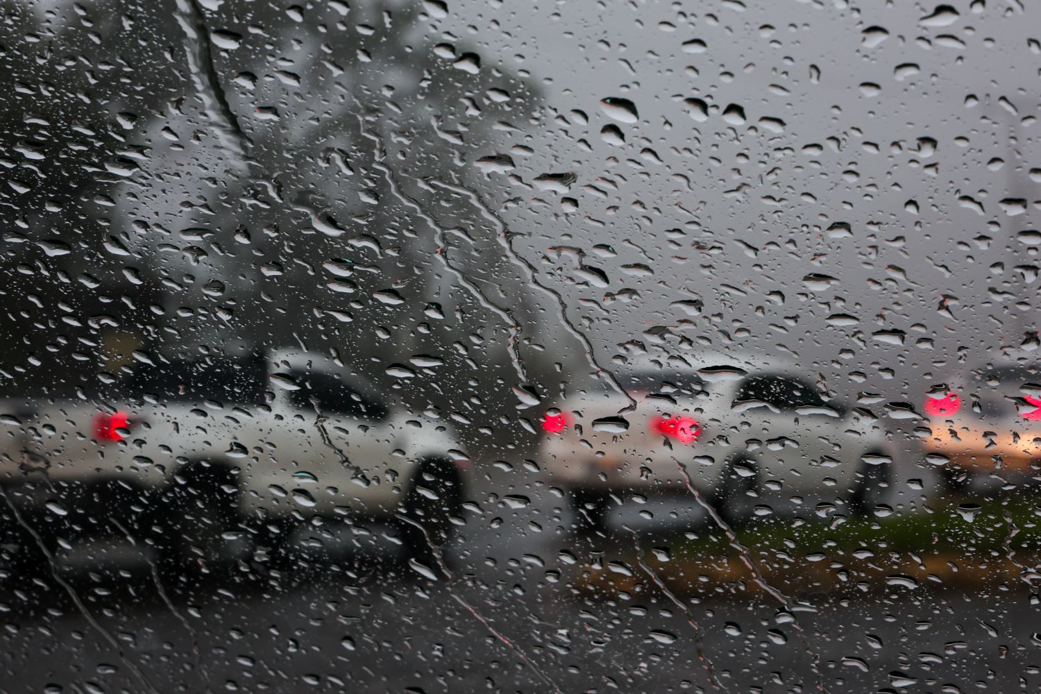 Chuva intensa no sábado e calor no domingo marcam a previsão do tempo em Santa Catarina