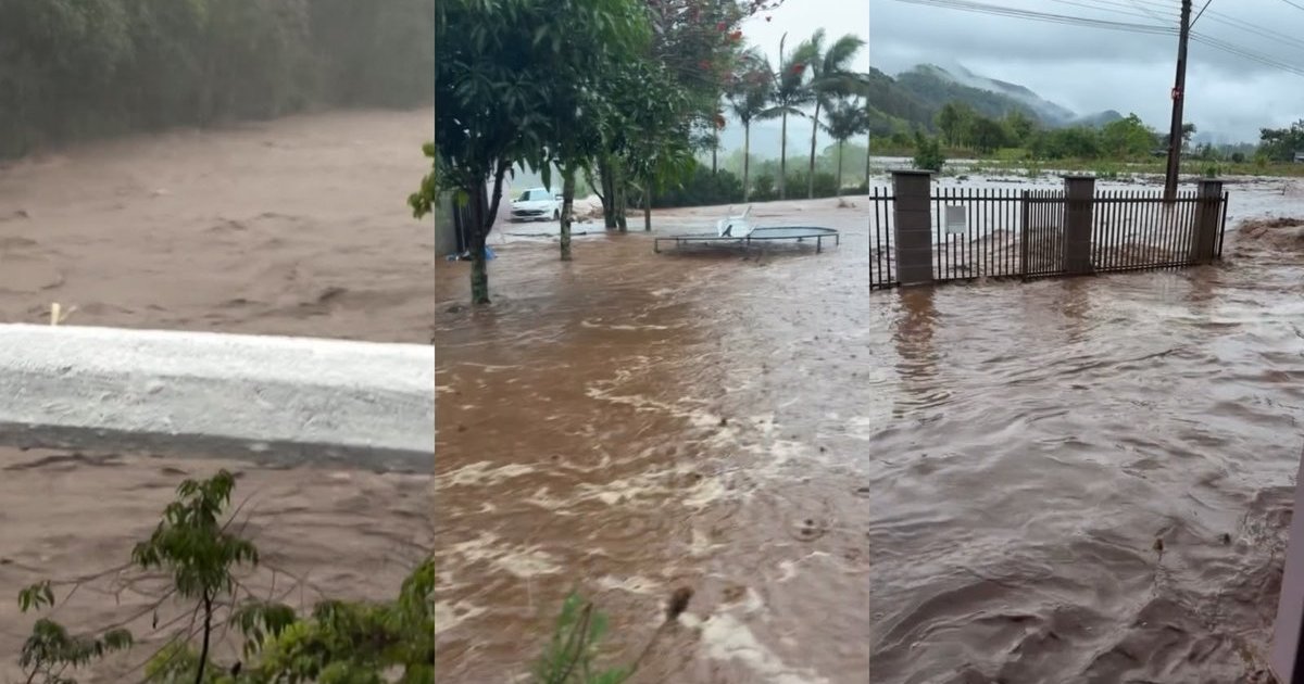 Perdeu tudo na pandemia, morou na rua e hoje vive da venda de morango cravejado nos semáforos de BC e Itajaí
