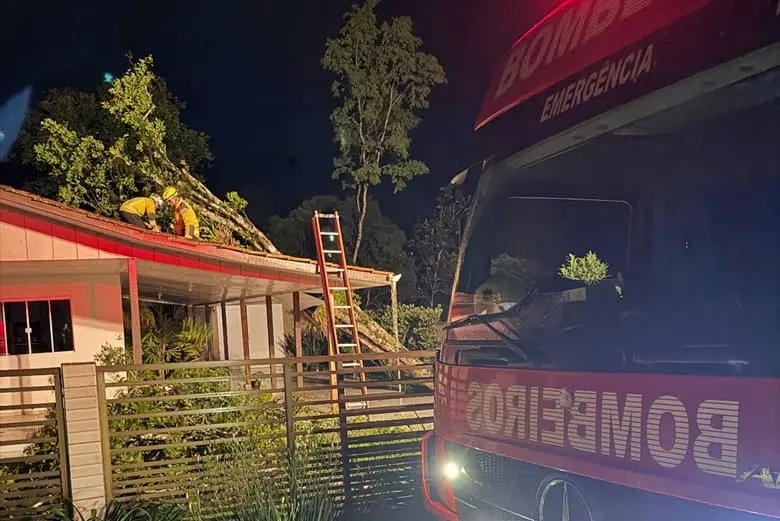 Árvore de 12 metros cai sobre residência durante rajadas de vento em Papanduva