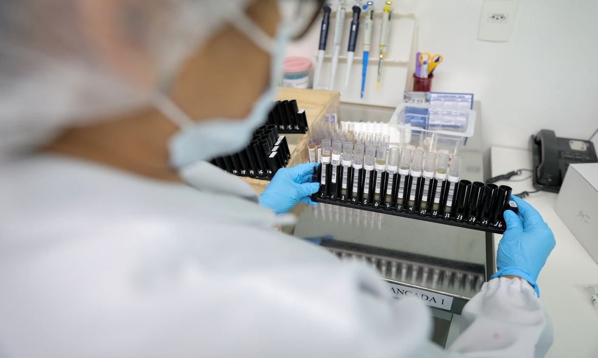 Brasil desenvolve primeira vacina do mundo contra malária e Anvisa autoriza testes em humanos