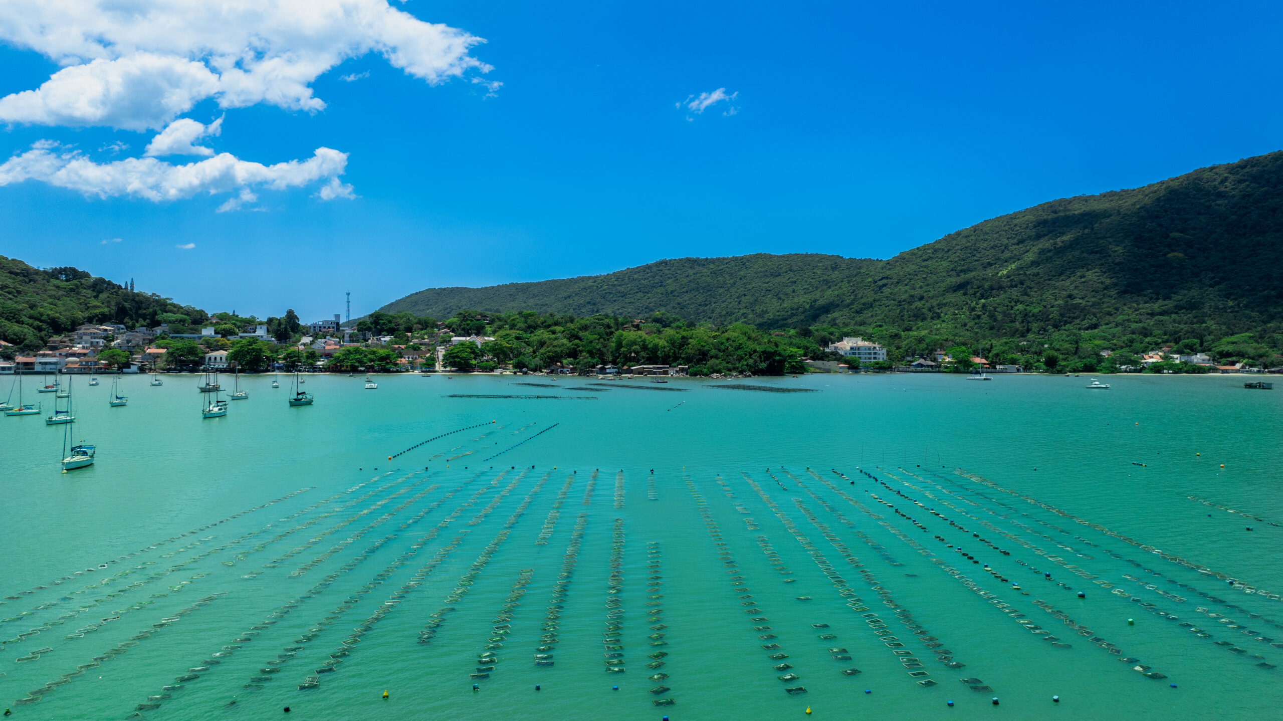Do mar ao desenvolvimento: Santa Catarina reúne força econômica para avançar na Economia Azul