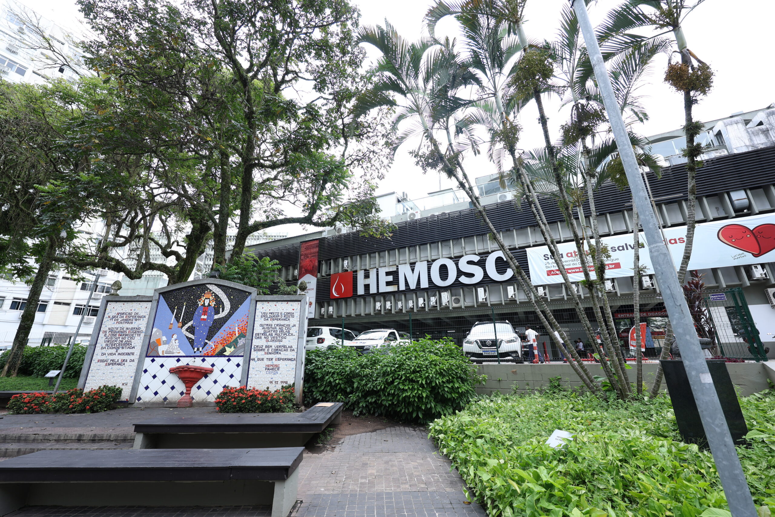 Estão abertas as inscrições para evento internacional do Hemosc sobre gestão de serviços de sangue