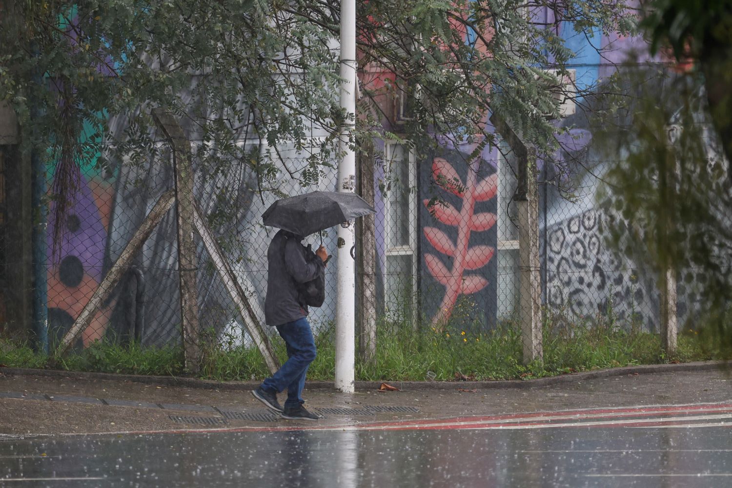 Fim de semana começa com chuva intensa e volumosa em Santa Catarina