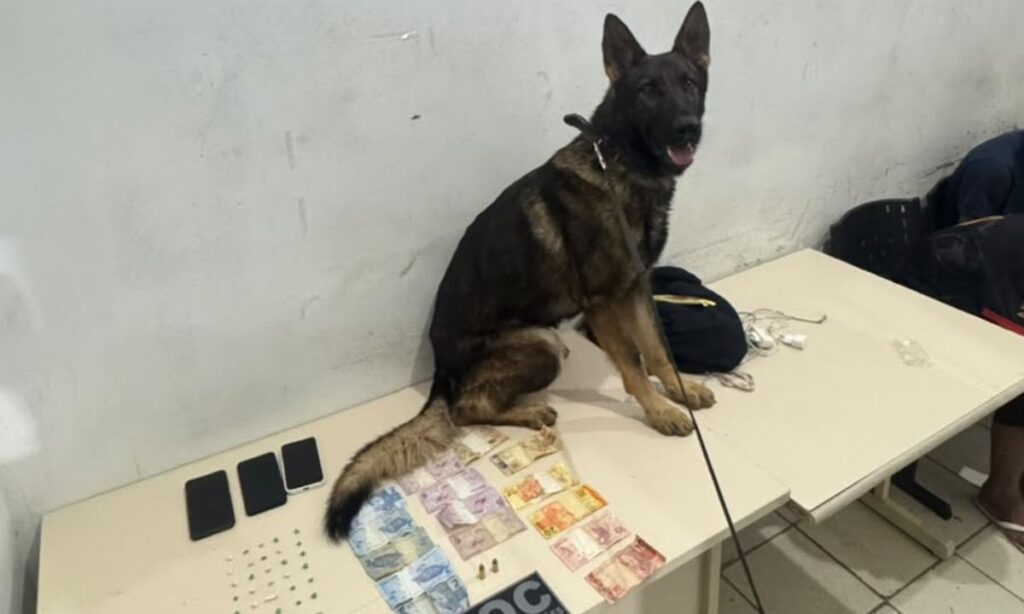 Guarda Municipal apreende drogas e munição no Centro da cidade