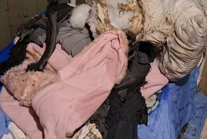 Idoso acamado tem 82% do corpo queimado após casa ser invadida e incendiada em SC