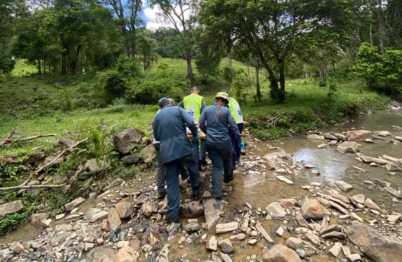 Idoso de 83 anos fica ferido após ser atingido durante corte de árvore em Papanduva